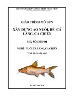 Giáo trình MD01-Xây dựng ao nuôi, bè nuôi cá lăng cá chiên