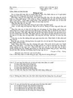 đề ôn tập cuối kì 2 môn tv 2010-2011