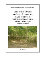 Giáo trình MD02-Trồng Sơn ta nghề trồng cây lấy nhựa