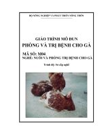 GT modun 04 - phòng trị bệnh cho gà