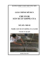Giáo trình dạy nghề sản xuất cua xanh mô đun sản xuất giống cua