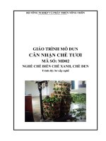 giáo trình nghề chế biến chè xanh chè đen mô đun cân nhận chè tươi