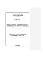 Hoạch định chiến lược kinh doanh của các doanh nghiệp nhỏ và vừa ngành xây dựng tại Đà Nẵng nghiên cứu điển hình tại Công ty cổ phần Đầu tư xây dựng công trình đô thị Đà Nẵng