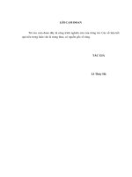 luận văn thạc sĩ quản trị nhân lực hoàn thiện công tác đào tạo công nhân kỹ thuật tại công ty TNHH điện việt nam stanley