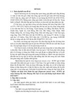 tóm tắt luận án tiến sĩ  Nghiên cứu bệnh virus khảm lùn ngô (Sugarcance mosaic virus – SCMV) tại vùng Chương Mỹ, Đan Phượng (Hà Nội) và sản xuất kháng huyết thanh chẩn đoán bệnh