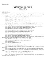 Giáo án KT kỳ II vật lý 6