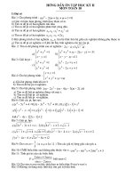 DE CUONG ON THI 10 HOC KY II CO LOI GIAI.doc