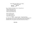 de thi hsg truobg thcs le van thiem