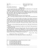 On tap TV cuoi nam lop 5