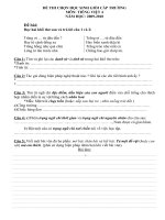 Đề thi chọn HSG môn Tiếng Viết năm học 2009-2010