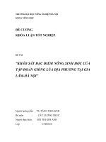 đề cương khóa luận KHẢO sát đặc điểm NÔNG SINH học của tập đoàn GIỐNG lúa địa PHƯƠNG tại GIA lâm hà nội