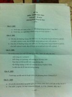 Networking  Thông tin chi tiết