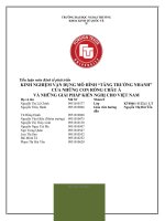 KINH NGHIỆM VẬN DỤNG MÔ HÌNH “TĂNG TRƯỞNG NHANH” VÀ NHỮNG GIẢI PHÁP KIẾN NGHỊ CHO VIỆT NAM CỦA NHỮNG CON RỒNG CHÂU Á