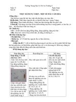 GIÁO ÁN CÔNG NGHỆ 6 TUYỆT HAY