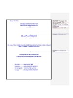 Phát triển nguồn nhân lực quản lý tại Uỷ ban Nhân dân thành phố Tam Kỳ, tỉnh Quảng Nam