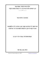 Nghiên cứu sàng lọc Squalene từ một số chủng vi tảo biển phân lập ở Việt Nam