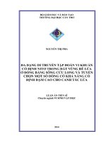 Đa dạng di truyền tập đoàn vi khuẩn cố định nitơ trong đất vùng rễ lúa ở đồng bằng sông cửu long và tuyển chọn một số dòng có khả năng cố định đạm cao cho canh tác lúa
