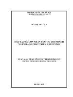 Đào tạo nguồn nhân lực tại Chi nhánh Ngân hàng Phát triển Hải Dương