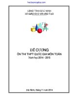 Đề cương ôn thi trung học phổ thông môn Toán