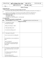 ĐỀ CƯƠNG ÔN TẬP HKII LÝ 11