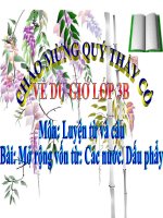 LT&C Mở rộng vốn từ các nước-Dấu phẩy