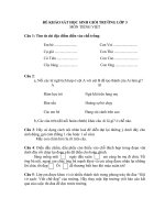 Đề khảo sát HSG tháng 4 môn TV