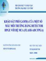 Khảo sát phổ gamma của một số mẫu môi trường bằng detector HPGe với hệ MCA (Flash-ADC/FPGA)