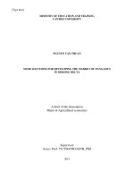 Solution for pangasius market development in the mekong delta