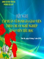 đánh giá nội dung chuẩn giáo viên tiểu học