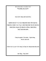 Kiểm soát và tài trợ rủi ro tín dụng trong cho vay tại chi nhánh ngân hàng TMCP công thương Ngũ Hành Sơn