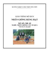 giáo trình mô đun nhân giống bằng hạt nghè nhân giống cây ăn quả