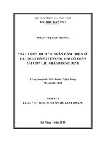 Phát triển dịch vụ ngân hàng điện tử tại ngân hàng thương mại cổ phần Sài Gòn chi nhánh Bình Định