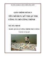 giáo trình mô đun kỹ thuật thi công tu bổ công trình thủy nông