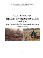giáo trình mô đun chuẩn bị đất trồng cây cao su