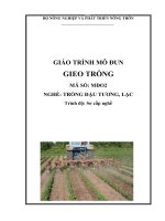 giáo trình mô đun gieo trồng nghề trồng đậu tương lạc