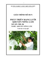 giáo trình mô đun phát triển mạng lưới khuyến nôn lâm