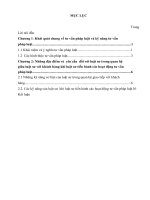 Tiểu luận hoạt động tư vấn pháp luật của luật sư