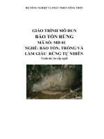 giáo trình mô đun bảo tồn rừng nghề  bảo tốn trồng và làm giàu rùng tự nhiên