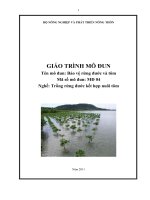 giáo trình mô đun bảo vệ rùng đước và tôm