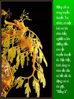 Rồng lá:lộng lẫy,sang trong,đẹp thanh nhã.