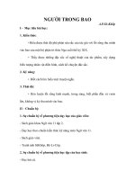 Giáo án Ngữ văn lớp 11 bài “Người trong bao”