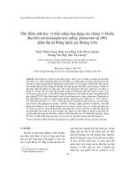 Đặc điểm sinh học và tiềm năng ứng dụng của chủng vi khuẩn Bacillus amyloliquefaciens subsp. plantarum sp 1901 phân lập tại Rừng Quốc gia Hoàng Liên