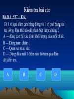 Tiết 24. Tac dung tu cua dong dien - Tu truong