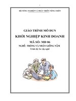 giáo trình mô đun khởi nghiệp kinh doanh