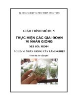 giáo trình mô đun thực hiện các giai đoạn vi nhân giống nghề vi nhân giống cây lâm nghiệp