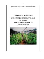 giáo trình mô đun chuẩn bị giống để trồng nghề trồng vải nhãn