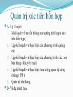 Thảo luận môn Quản lý chức năng hoạt động của tổ chức: Quản trị xúc tiến hỗn hợp