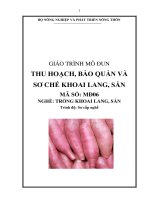 giáo trình mô đun thu hoạch bảo quản và sơ chế khoai lang sắn
