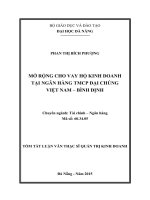 Mở rộng cho vay hộ kinh doanh tại ngân hàng TMCP Đại Chúng Việt Nam, Tỉnh Bình Định