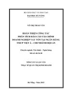 Hoàn thiện công tác phân tích báo cáo tài chính doanh nghiệp vay vốn tại ngân hàng TMCP Việt Á- chi nhánh Hội An